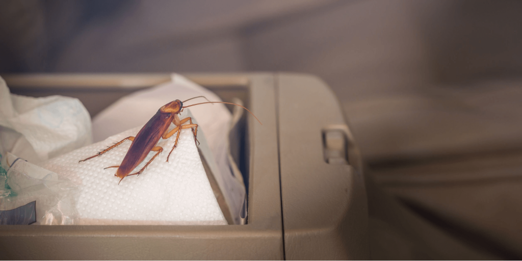 How To Get Rid of Cockroaches in Your Car - featured image